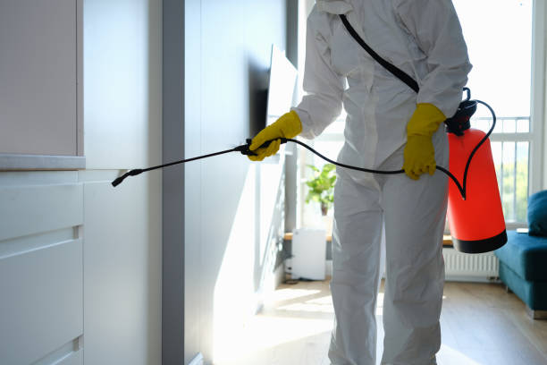 Best Commercial Mold Removal  in Baraboo, WI