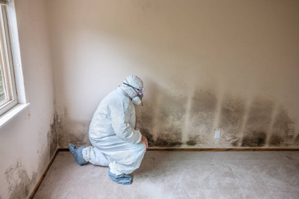 Best Residential Mold Removal  in Baraboo, WI